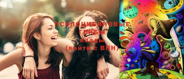 спайс Алексин