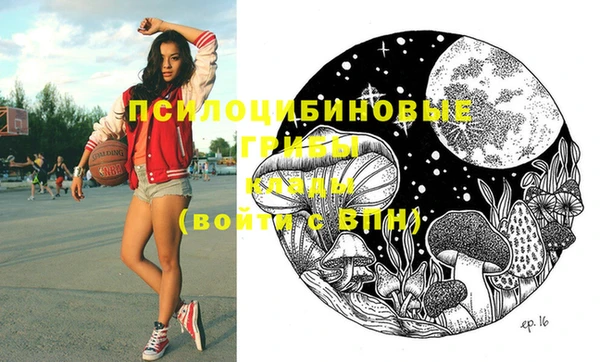 молекула духа Алзамай