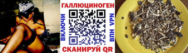 купить наркотик  даркнет как зайти  Псилоцибиновые грибы Psilocybine cubensis  Андреаполь 